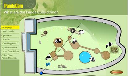 Panda's Online in Woolong
